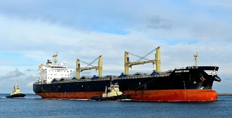 DESERT MOON Bulk Carrier IMO 9543770 photo 6