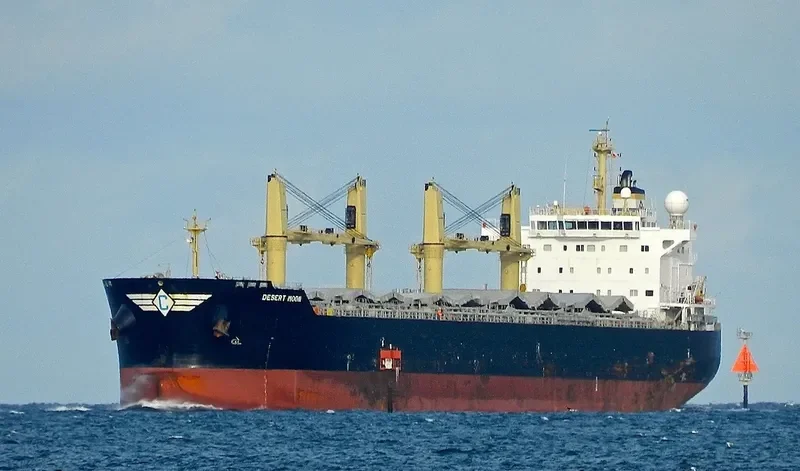 DESERT MOON Bulk Carrier IMO 9543770 photo 8