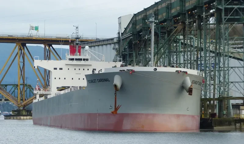 SCARLET CARDINAL Bulk Carrier IMO 9544059 photo 2