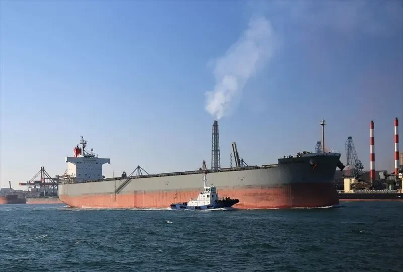 SCARLET CARDINAL Bulk Carrier IMO 9544059 photo 8