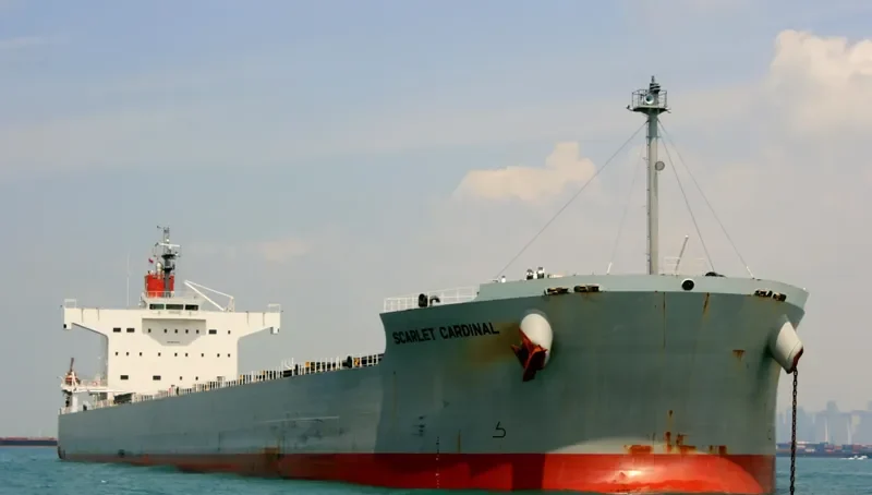 SCARLET CARDINAL Bulk Carrier IMO 9544059 photo 9
