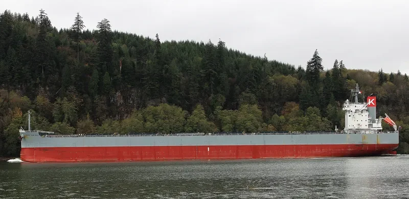 SCARLET ALBATROSS Bulk Carrier IMO 9544061 photo 2