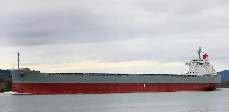 SCARLET ALBATROSS Bulk Carrier IMO 9544061 photo 3