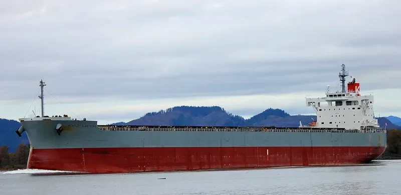 SCARLET ALBATROSS Bulk Carrier IMO 9544061 photo 4