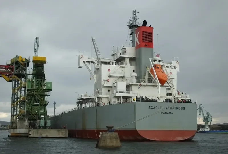 SCARLET ALBATROSS Bulk Carrier IMO 9544061 photo 5