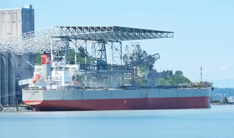 SCARLET ALBATROSS Bulk Carrier IMO 9544061 photo 6