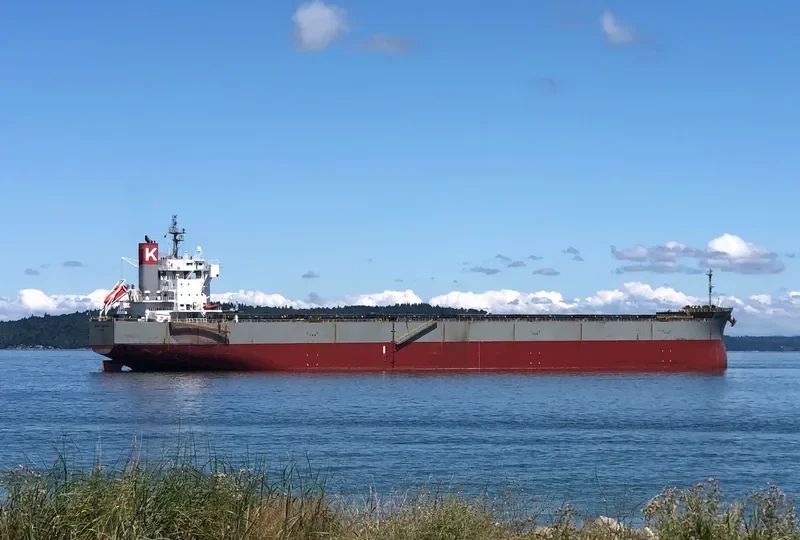 SCARLET ALBATROSS Bulk Carrier IMO 9544061 photo 7