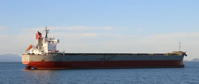 SCARLET ALBATROSS Bulk Carrier IMO 9544061 photo 8