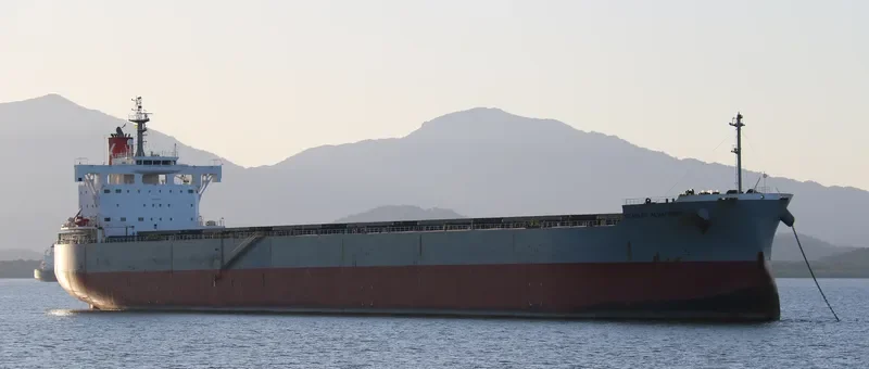 SCARLET ALBATROSS Bulk Carrier IMO 9544061 photo 9