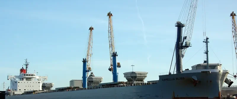 CAMELLIA BLISS Bulk Carrier IMO 9544085 photo 3