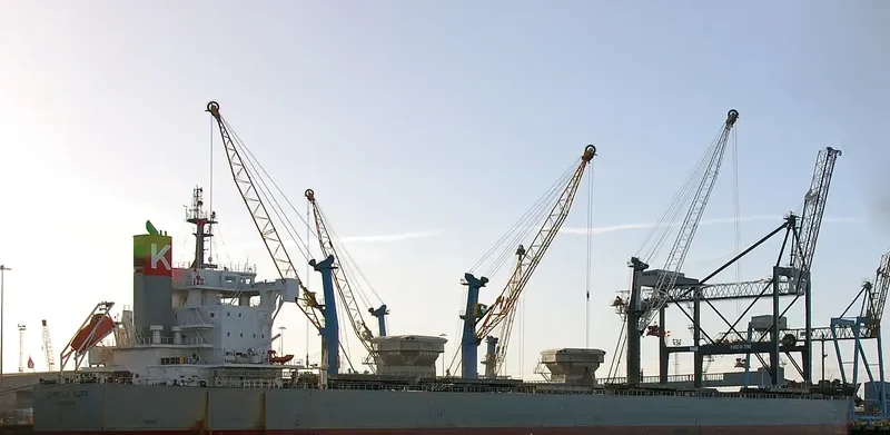 CAMELLIA BLISS Bulk Carrier IMO 9544085 photo 4