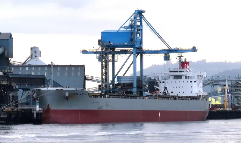 CAMELLIA BLISS Bulk Carrier IMO 9544085 photo 5