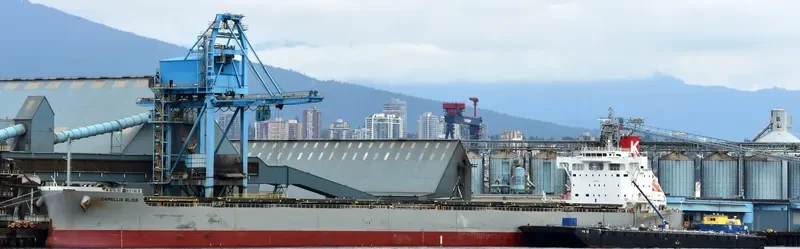 CAMELLIA BLISS Bulk Carrier IMO 9544085 photo 6