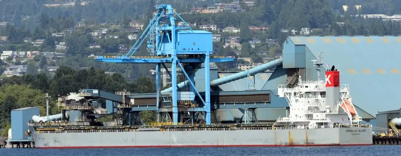 CAMELLIA BLISS Bulk Carrier IMO 9544085 photo 8