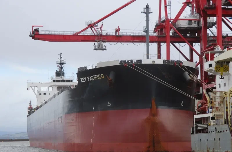 YM PACIFICO Bulk Carrier IMO 9544102