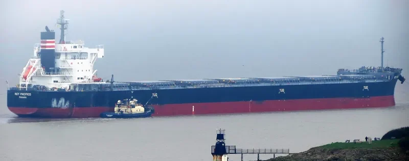 YM PACIFICO Bulk Carrier IMO 9544102 photo 6