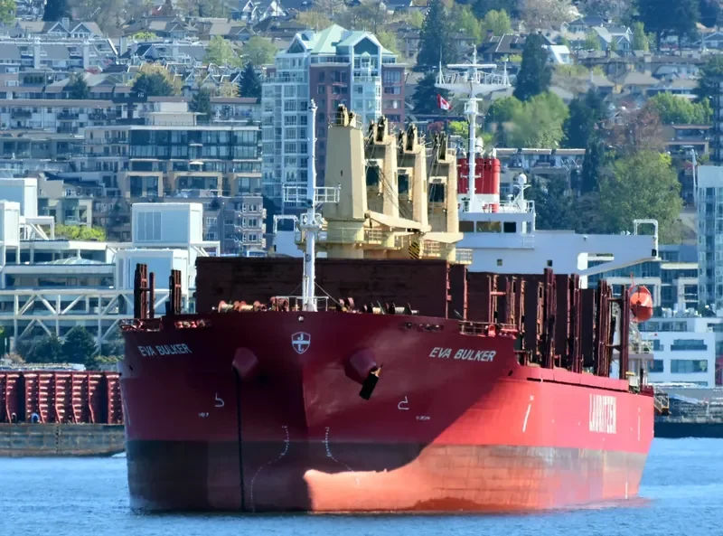 EVA BULKER General Cargo IMO 9544164 photo 7