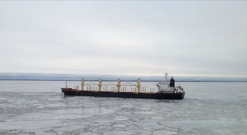 NIKATOR Bulk Carrier IMO 9544372 photo 3
