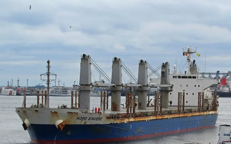 SINCERE Bulk Carrier IMO 9544384 photo 7