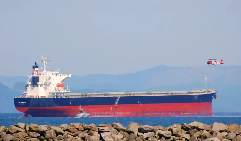 GU IMABARI Bulk Carrier IMO 9544401 photo 4