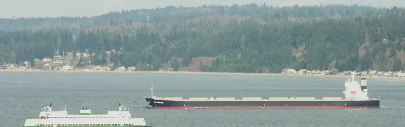 GU IMABARI Bulk Carrier IMO 9544401 photo 6