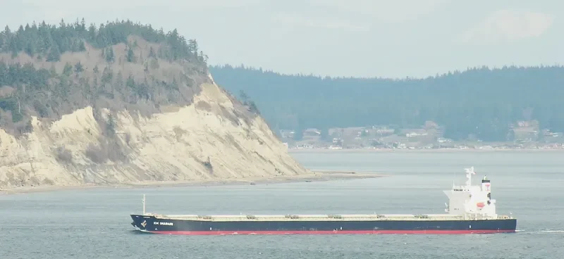 GU IMABARI Bulk Carrier IMO 9544401 photo 7