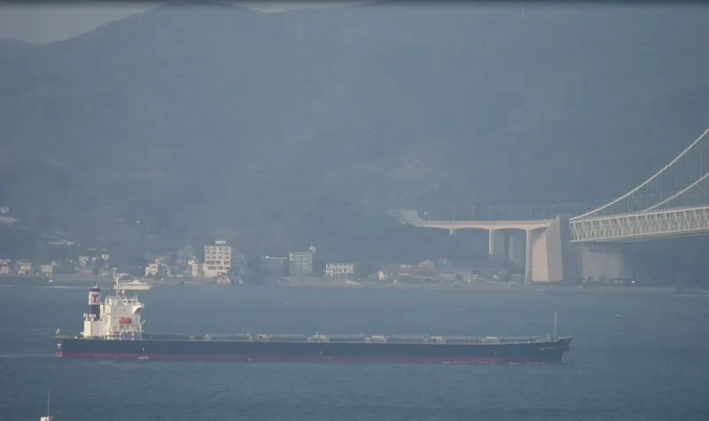 GU IMABARI Bulk Carrier IMO 9544401 photo 9
