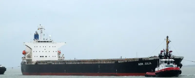 AOM JULIA Bulk Carrier IMO 9544695 photo 3