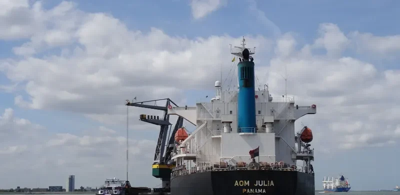 AOM JULIA Bulk Carrier IMO 9544695 photo 6