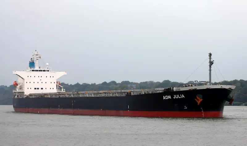 AOM JULIA Bulk Carrier IMO 9544695 photo 7