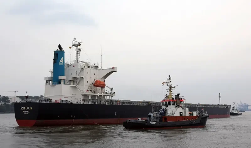 AOM JULIA Bulk Carrier IMO 9544695 photo 8