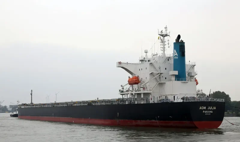 AOM JULIA Bulk Carrier IMO 9544695 photo 9