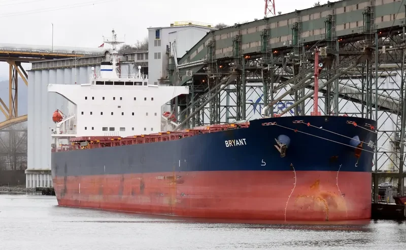 BRYANT Bulk Carrier IMO 9544700 photo 9