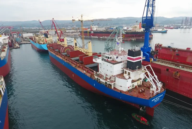 SERENITY Bulk Carrier IMO 9544762 photo 5