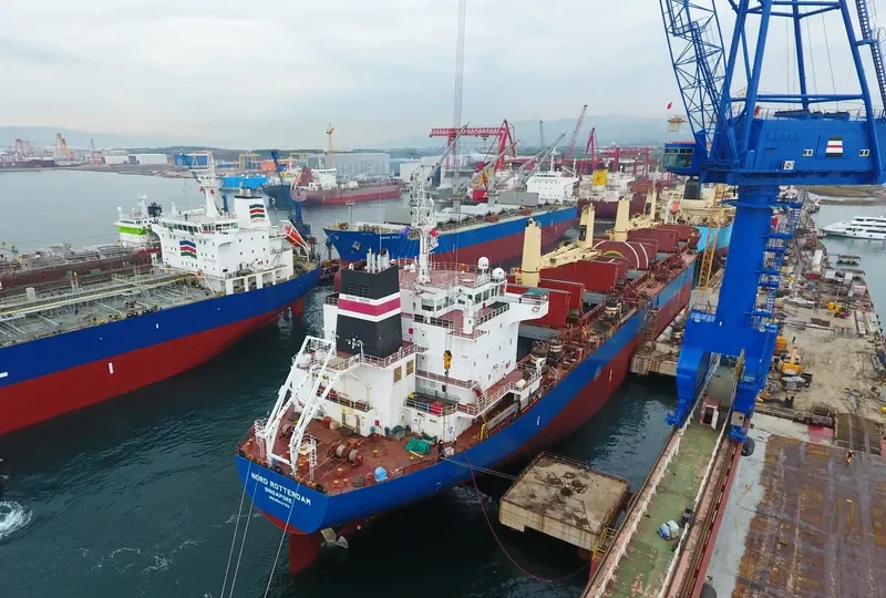 SERENITY Bulk Carrier IMO 9544762 photo 7
