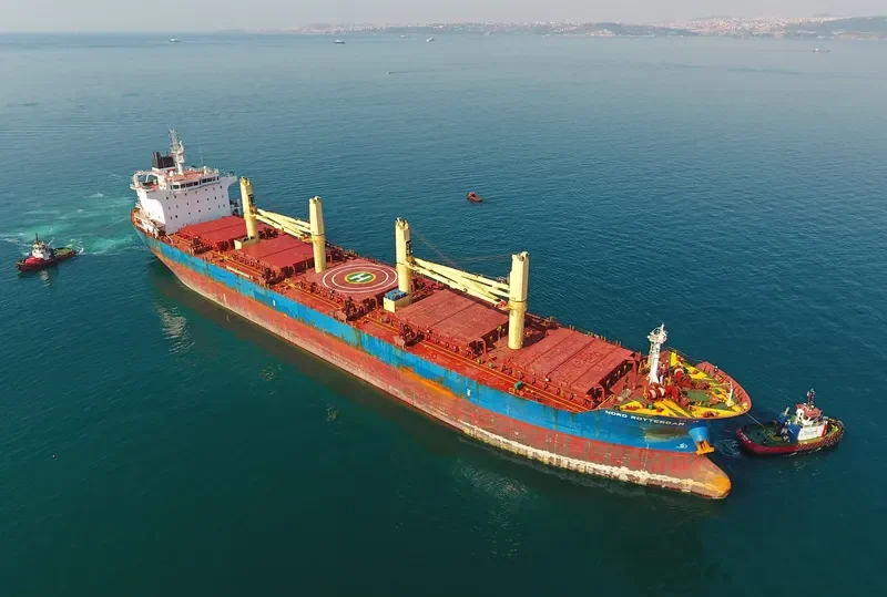SERENITY Bulk Carrier IMO 9544762 photo 9