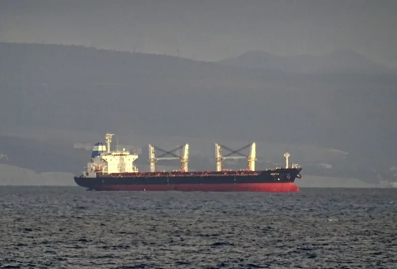 ARIETTA Bulk Carrier IMO 9545065 photo 2
