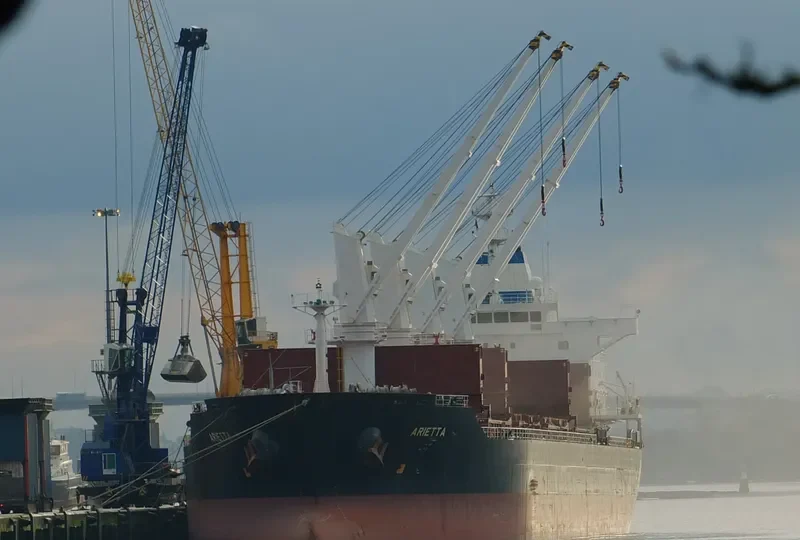 ARIETTA Bulk Carrier IMO 9545065 photo 5