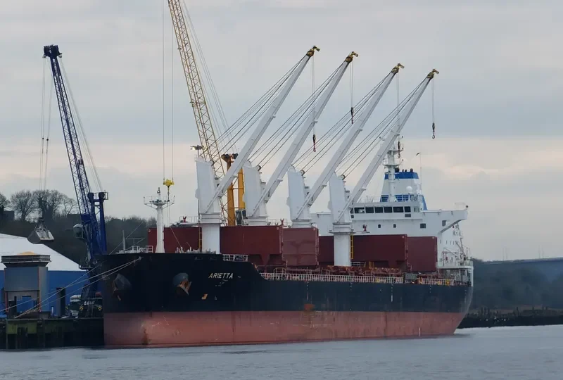 ARIETTA Bulk Carrier IMO 9545065 photo 7