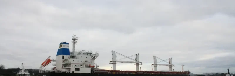 ARIETTA Bulk Carrier IMO 9545065 photo 9
