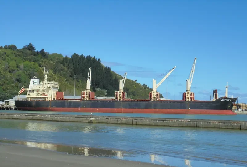 NAZENIN Bulk Carrier IMO 9545508