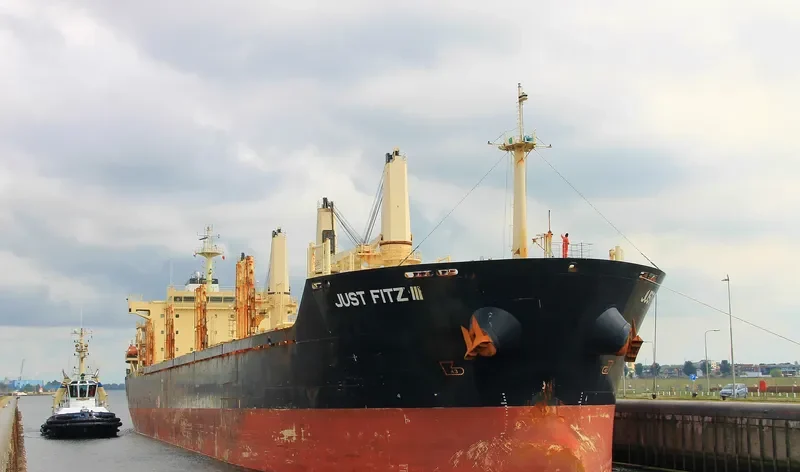 NAZENIN Bulk Carrier IMO 9545508 photo 5