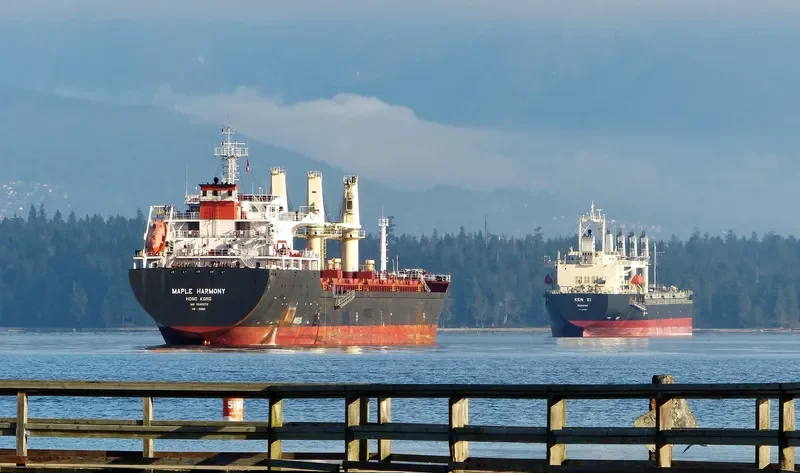XIN ZHE Bulk Carrier IMO 9545572 photo 5