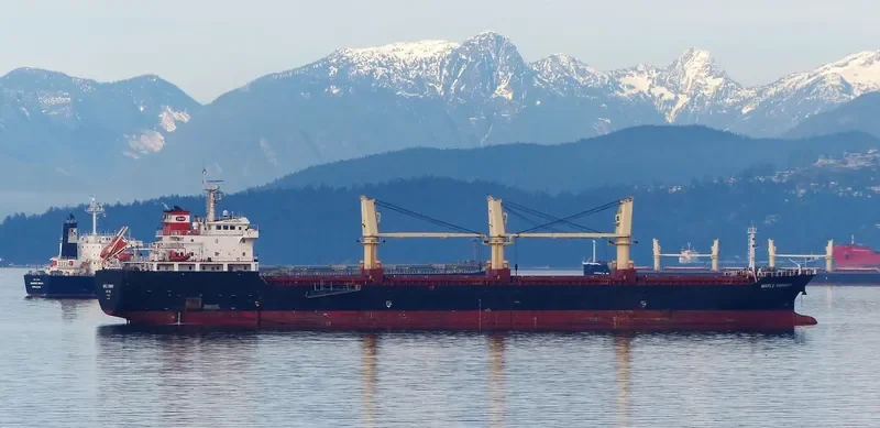 XIN ZHE Bulk Carrier IMO 9545572 photo 7