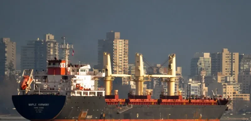 XIN ZHE Bulk Carrier IMO 9545572 photo 9