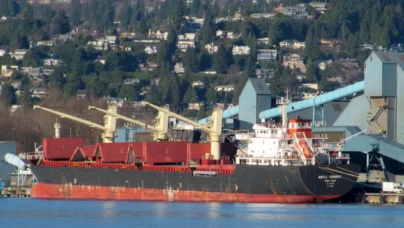 XIN ZHE Bulk Carrier IMO 9545572 photo 10