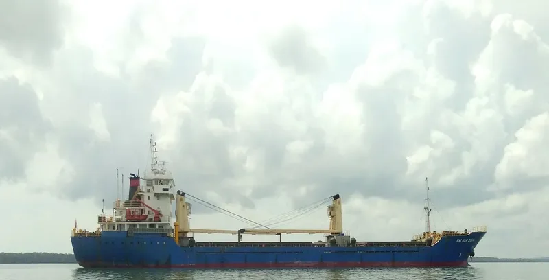 HAI NAM STAR Bulk Carrier IMO 9545742 photo 3
