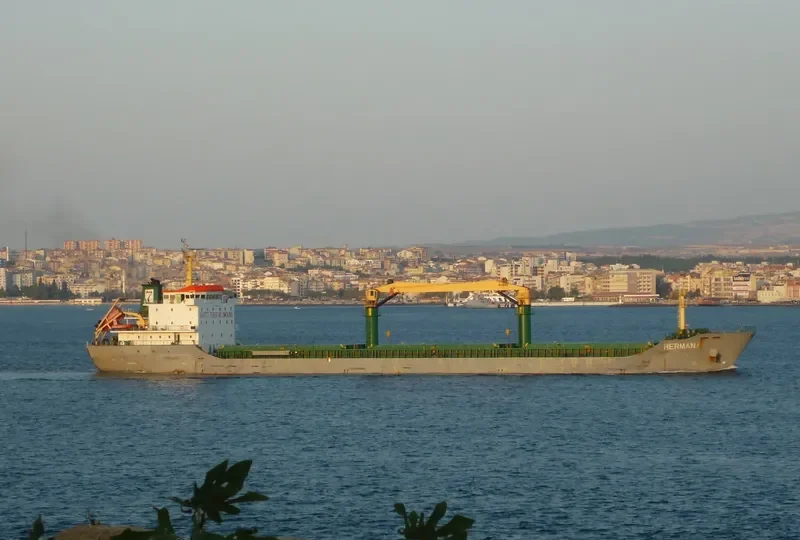 HERMANA General Cargo IMO 9545948 photo 8