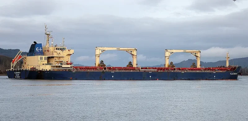 NIKITIS Bulk Carrier IMO 9546124 photo 2