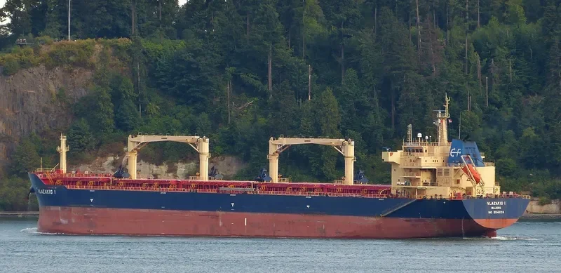 NIKITIS Bulk Carrier IMO 9546124 photo 8